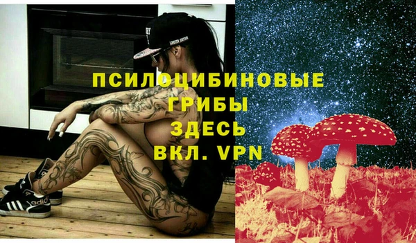 амф Новодвинск