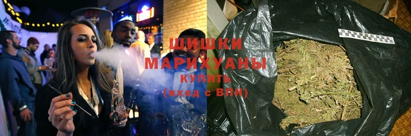 шишки Няндома