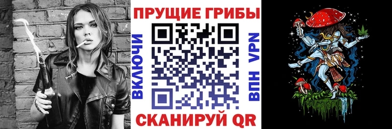 что такое   Новотроицк  Псилоцибиновые грибы Psilocybe 